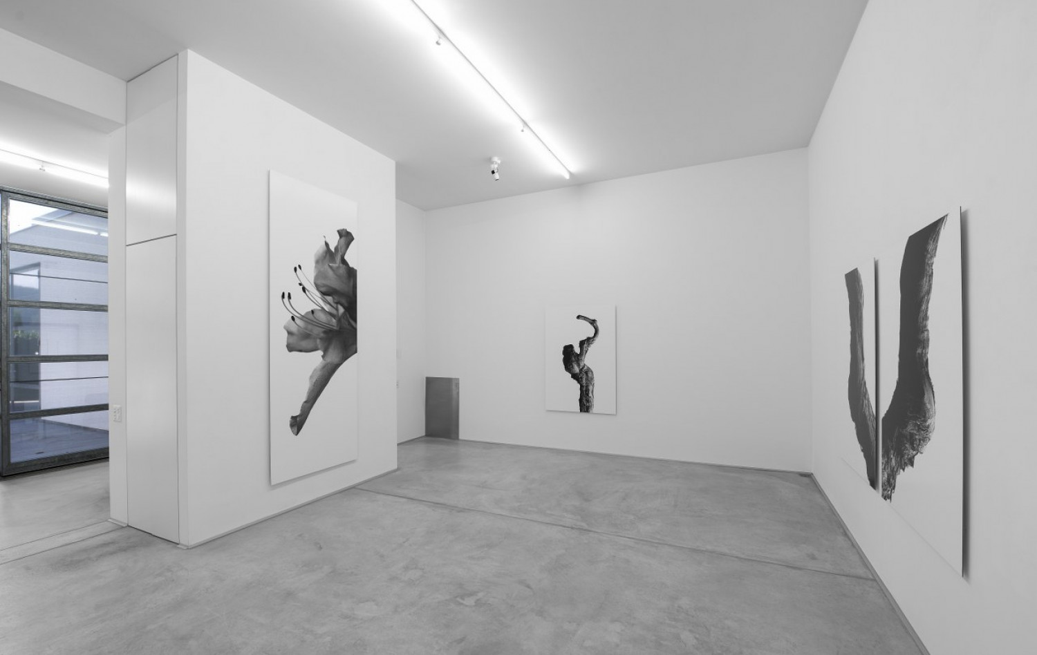 Marco D'Anna, Installationsansicht, Buchmann Agra, 2016
