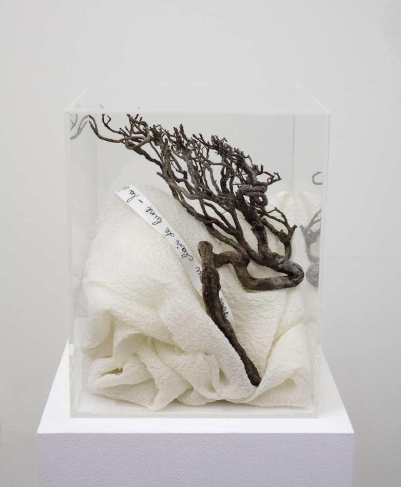 Véronique Arnold, ‘Chute de camélias blanc ’, 2018, Bruyère des Vosges branch, thread on linen,  georgette silk in a plexiglas box 