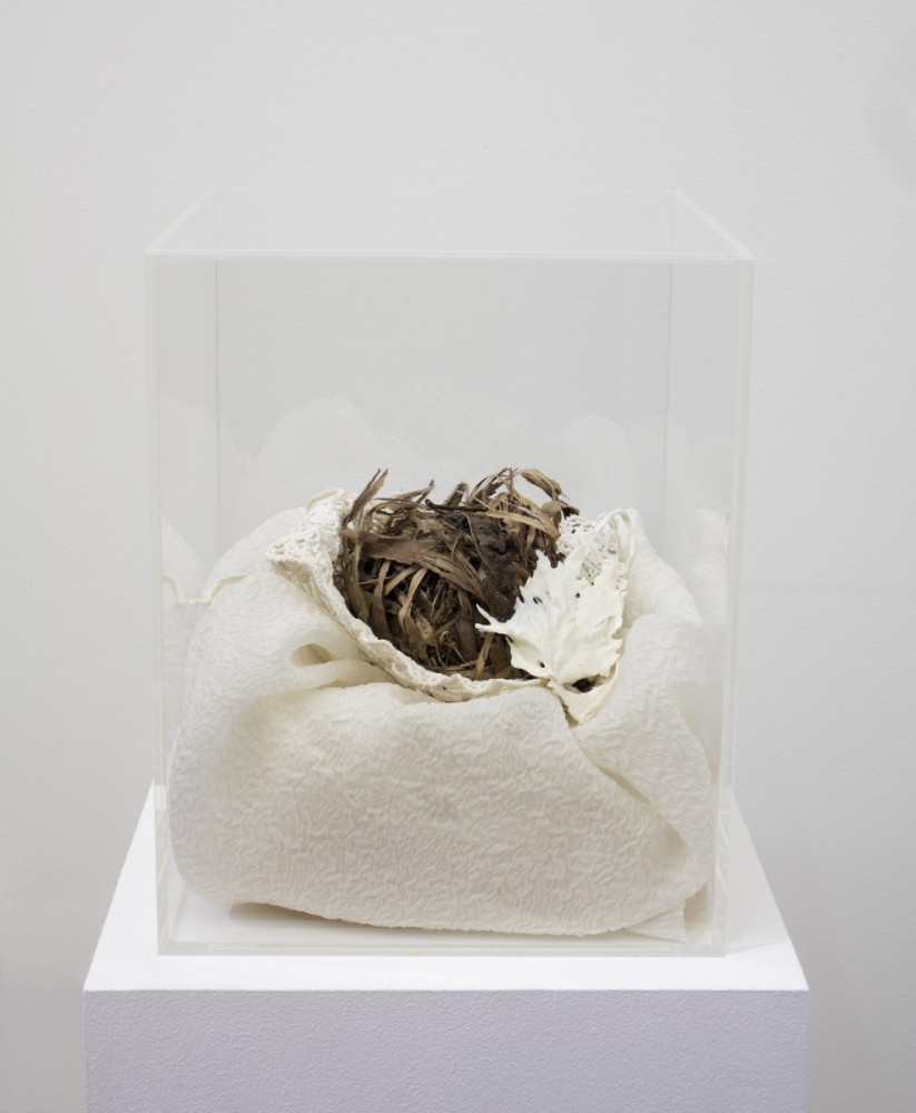 Véronique Arnold, ‘Protection de la Naissance de l’Oiseau’, 2018, Bird nest, georgette silk, infant embroided hat, Limoges porcelain leaf in a plexiglas box 