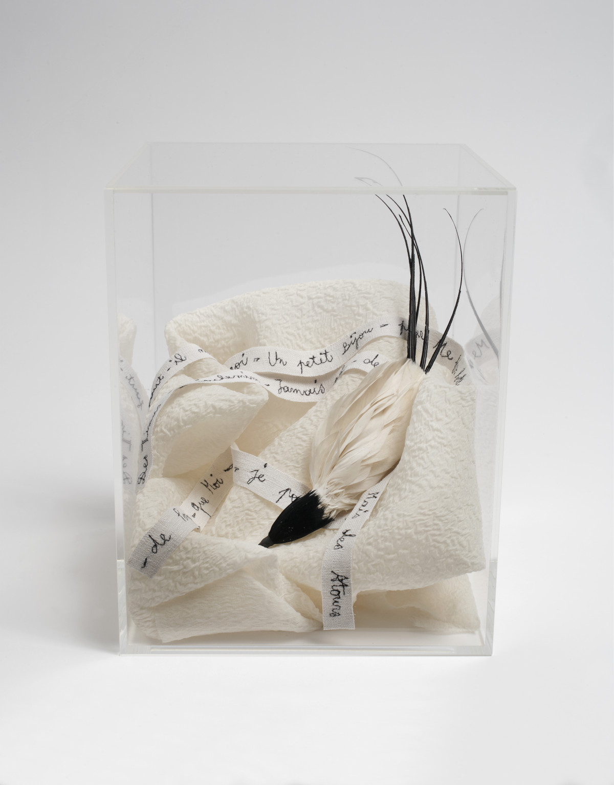 Véronique Arnold, ‘La Pompadour’, 2020,  plexiglass box, cream-colored flocked silk, antique black and white feathers, black thread embroidery on white ribbon