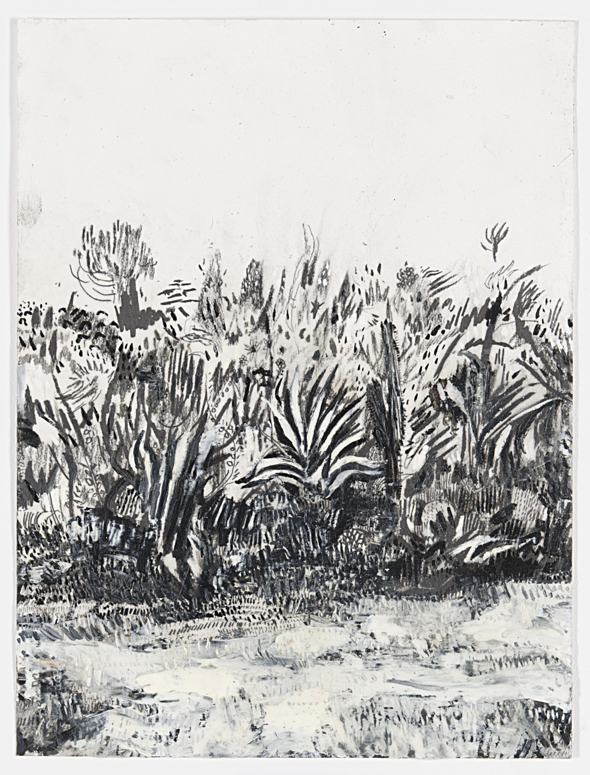 Raffi Kalenderian, ‘Cactus Garden’, 2015, Oil and graphite on paper