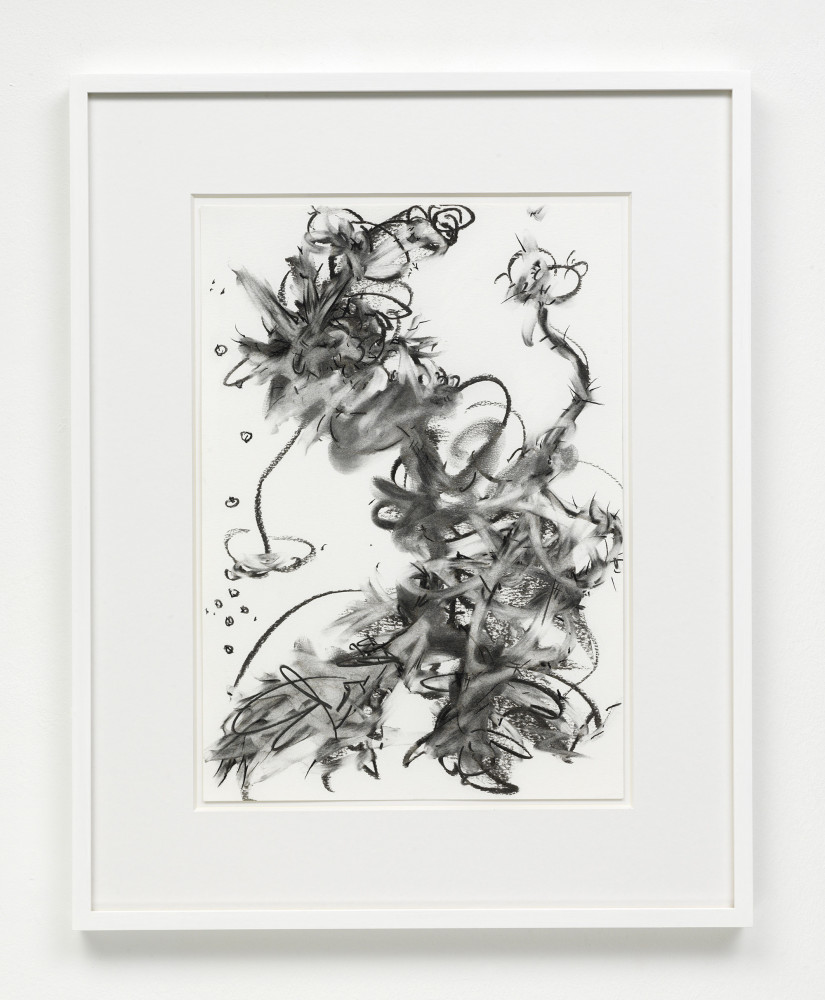 Fiona Rae, ‘Drawing (figure 2j)’, 2014, charcoal on watercolour paper