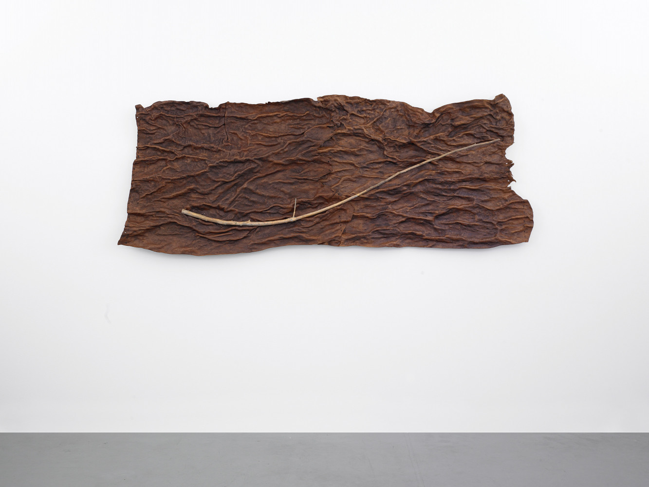 ‘Guiseppe Penone, Pelle di cedro’, 2004, Leather, bronze