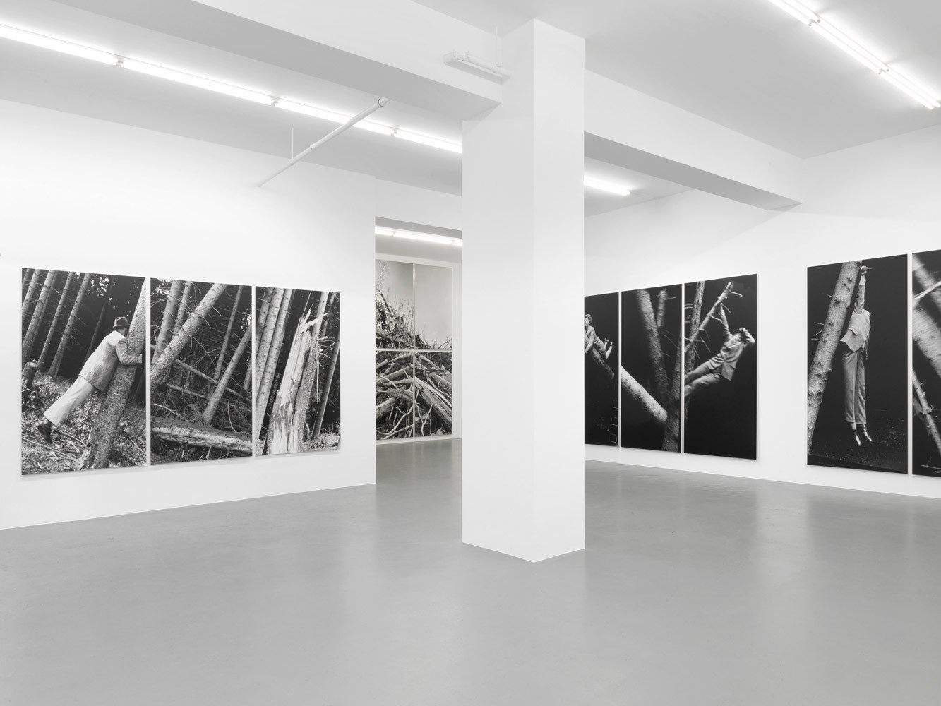 Anna & Bernhard Blume, ‘Im Wald’, Installation view, 2014
