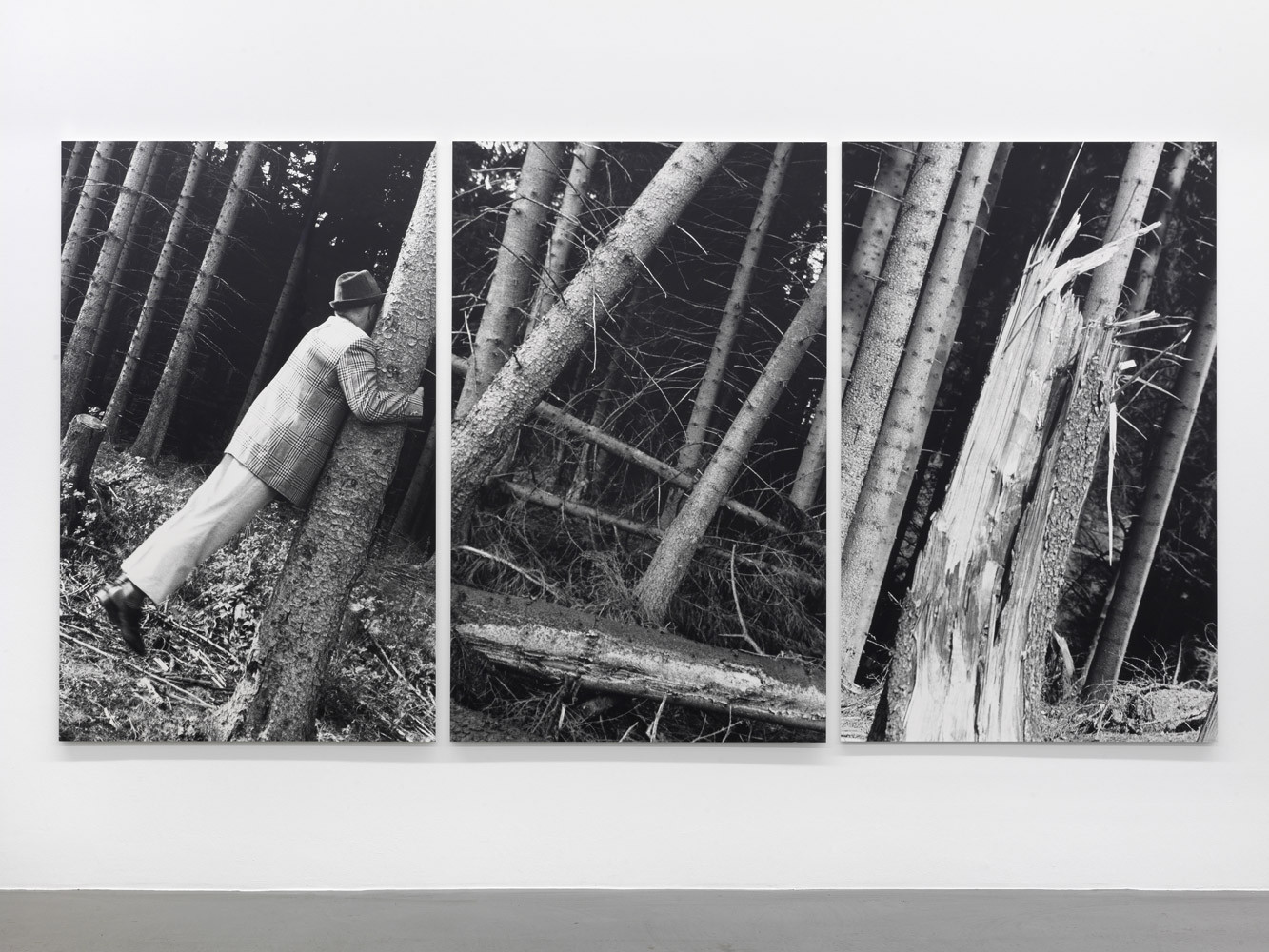 Anna & Bernhard Blume, ‘Kontakt mit Bäumen’, 1987, Photograph